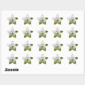 Star-Foto-Sticker Stern-Aufkleber (Blatt)