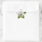 Star-Foto-Sticker Stern-Aufkleber (Tasche)