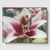 Star Gazer Gästebuch (Vorderseite)