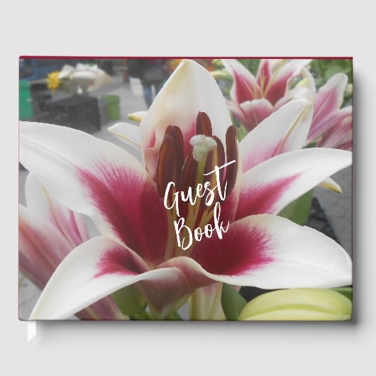 Star Gazer Gästebuch (Vorderseite)