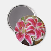 Star Gazer Lily Round Magnet (Vorderseite/Rückseite)