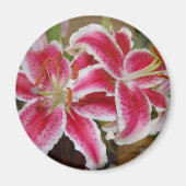 Star Gazer Lily Round Magnet (Vorne)