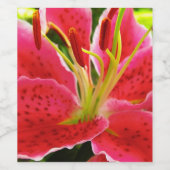 Star Gazer Lily Weinetikett (Einzelnes Label)