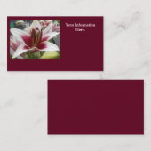 Star Gazer Visitenkarte (Vorne/Hinten)