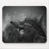 Star Gazing Mousepad (Vorne)