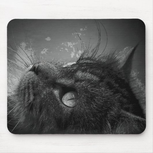 Star Gazing Mousepad (Vorne)