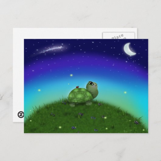 Star Gazing Turtle Postkarte (Vorne/Hinten)