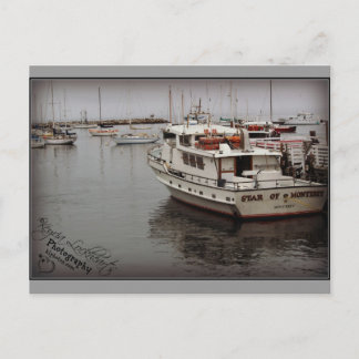 Star in Monterey Postkarte