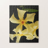 Star Jasmine Blume 11x14 252pc jpcna Puzzle (Vertikal)