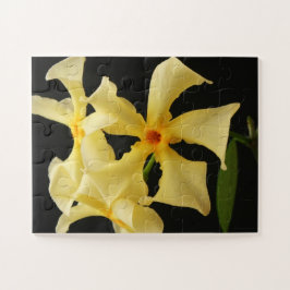 Star Jasmine Blume 11x14 30pc jpcna Puzzle
