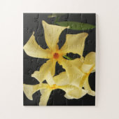 Star Jasmine Blume 11x14 30pc jpcnm Puzzle (Vertikal)