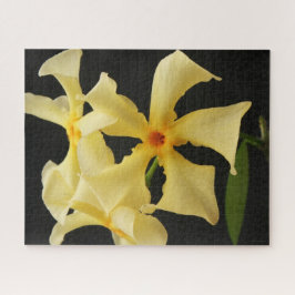 Star Jasmine Blume 16x20 520pc jpcnm Puzzle