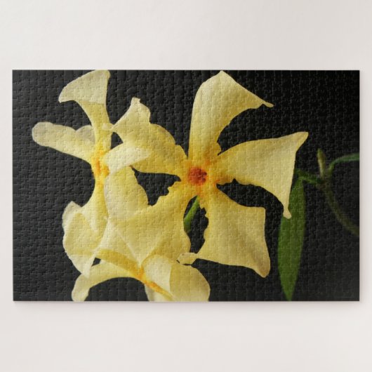 Star Jasmine Blume 20x30 1014pc jpcnm Puzzle (Horizontal)
