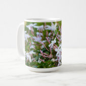 Star Jasmine Blume Blumenrosa Tasse Kaffee Cup (Vorderseite Links)