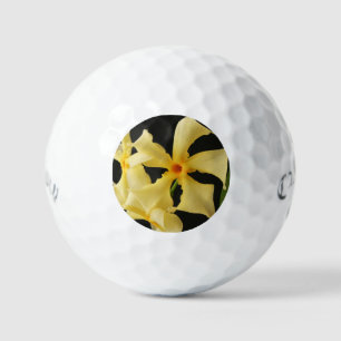 Star Jasmine Blume css gbcna Golfball