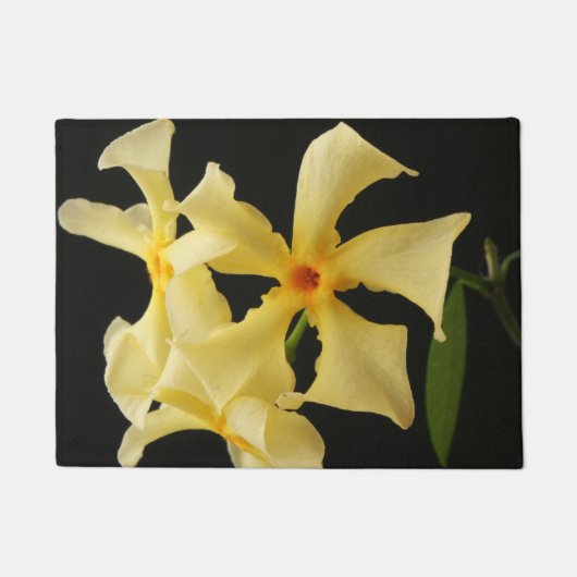 Star Jasmine Blume dmcnm Fußmatte (Vorderseite)