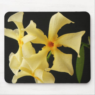 Star Jasmine Blume mpcnm Mousepad