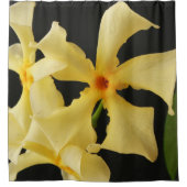 Star Jasmine Blume scccna Duschvorhang (Vorderseite)