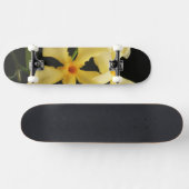 Star Jasmine Blume sdcnm Skateboard (Horizontal)