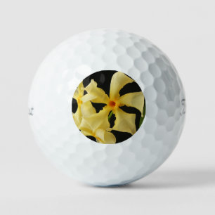 Star Jasmine Blume tpv1 gbcna Golfball