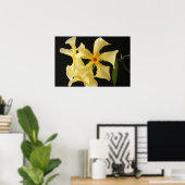 Star Jasmine Blume wapa Poster (Heimbüro)