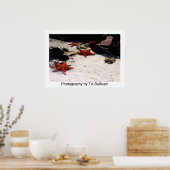 Star Light, Star Bright von TDGallery Poster (Küche)