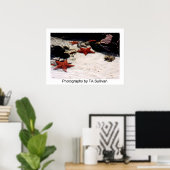 Star Light, Star Bright von TDGallery Poster (Heimbüro)