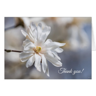 Star Magnolia Bloom Dankeschön Karte