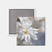 Star Magnolia Bloom Magnet (Vorderseite/Rückseite)