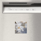 Star Magnolia Bloom Magnet (In Situ (Geschirrspüler))