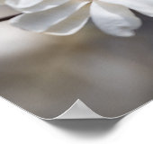 Star Magnolia Bloom Poster (Ecke)
