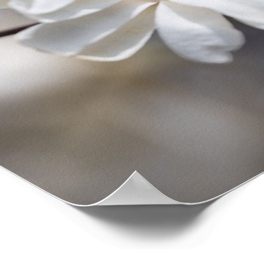 Star Magnolia Bloom Poster (Ecke)