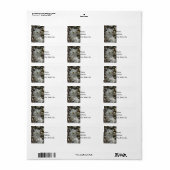 Star Magnolia Blooms Adressaufkleber (Vorne)