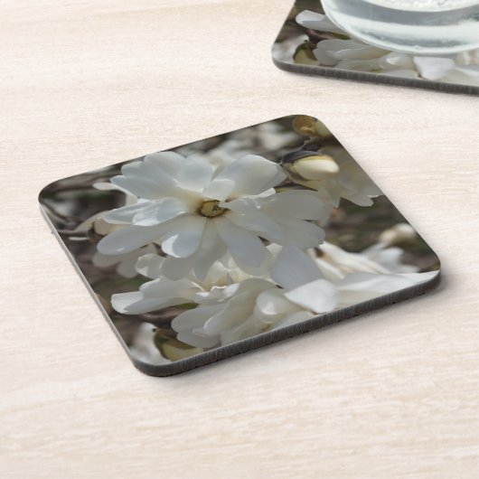 Star Magnolia Blooms Untersetzer (Linke Seite)