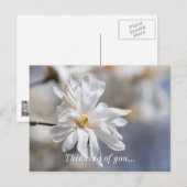 Star Magnolia Bluben Denken Sie an Sie Postkarte (Vorne/Hinten)