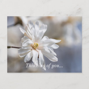 Star Magnolia Bluben Denken Sie an Sie Postkarte