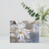 Star Magnolia Bluben Denken Sie an Sie Postkarte (Stehend Vorderseite)