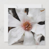 Star Magnolia Card Feiertagskarte (Vorderseite)