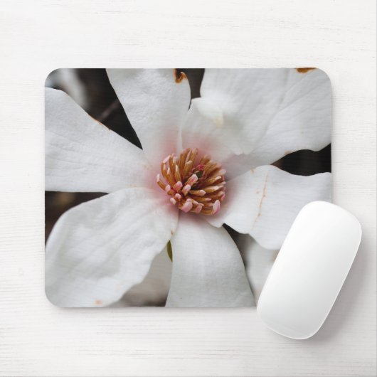 Star Magnolia Mouse Pad Mousepad (Mit Mouse)