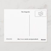 Star Magnolia Postkarte (Rückseite)