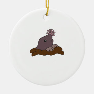 Star Mole Niedlich Mole Keramik Ornament