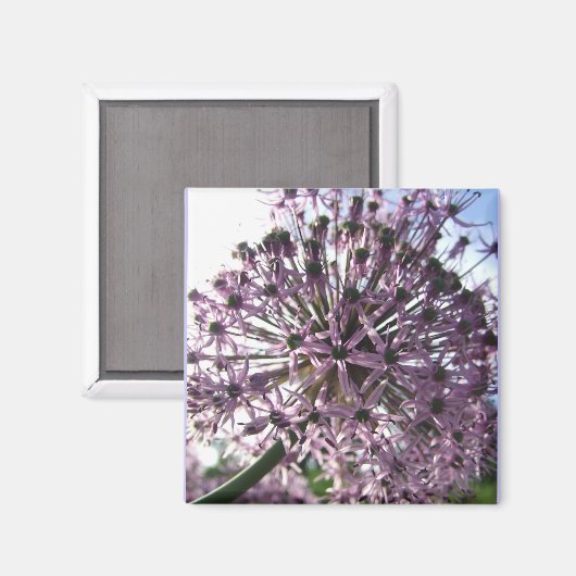 "Star of Persia II" Magnet (Vorderseite/Rückseite)