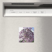 "Star of Persia II" Magnet (In Situ (Geschirrspüler))