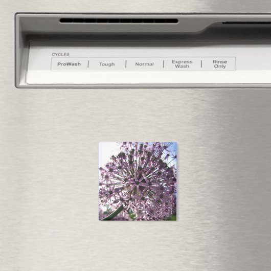 "Star of Persia II" Magnet (In Situ (Geschirrspüler))