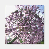 "Star of Persia II" Magnet (Vorne)