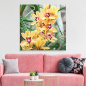 Star Orchids Leinwanddruck (Insitu (Wohnzimmer))