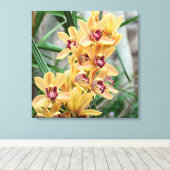 Star Orchids Leinwanddruck (Insitu (Holzboden))