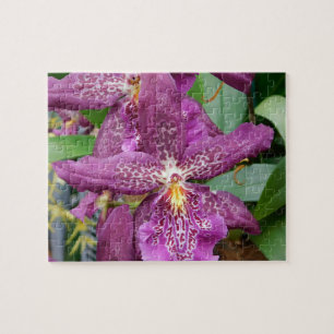 Star Orchids Puzzle
