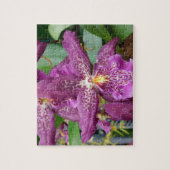 Star Orchids Puzzle (Vertikal)