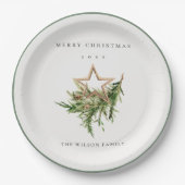 Star Ornament Pine Branch Fauna Frohe Weihnachten Pappteller (Vorderseite)